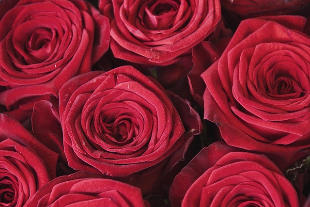 floral designer bouquet workshop class